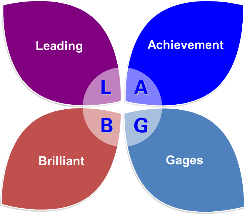 Good UnderStanding of LAB GAGES